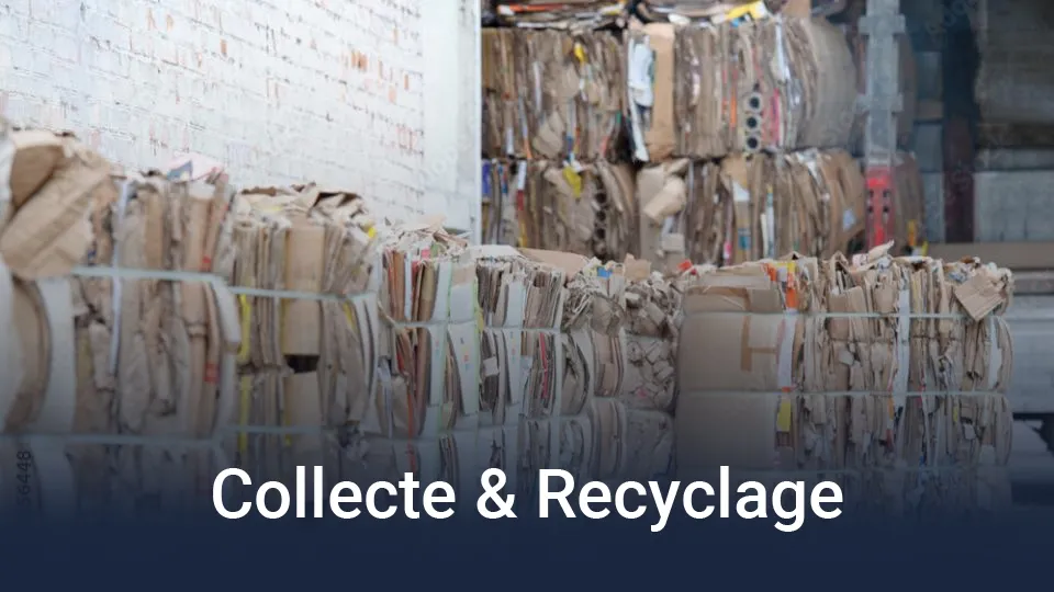 Balles de carton et de papier compactés, triés et prêts pour la valorisation sur un site de collecte et de recyclage